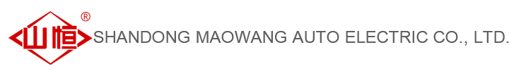 Shandong Maowang Auto Electric Co., Ltd. 